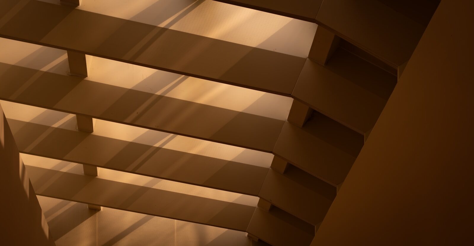 Liberty and Equality